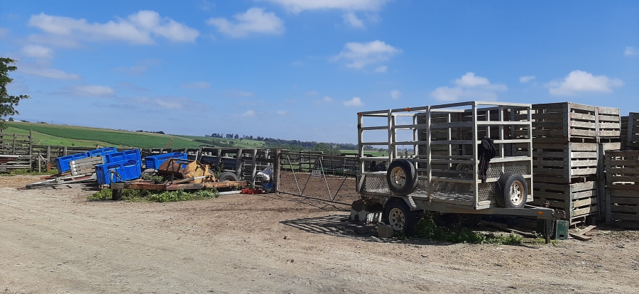 Commercial Property for Sale in Geelhoutboom AH Western Cape